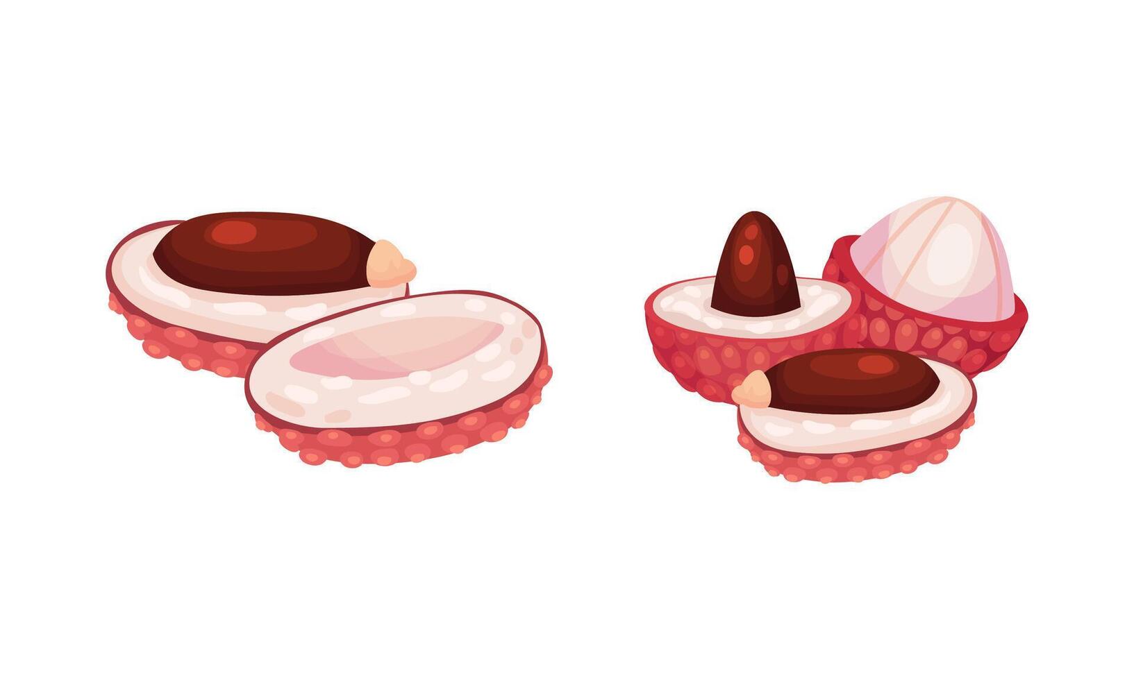 Fresh sliced lychee tropical fruit set illustration vector
