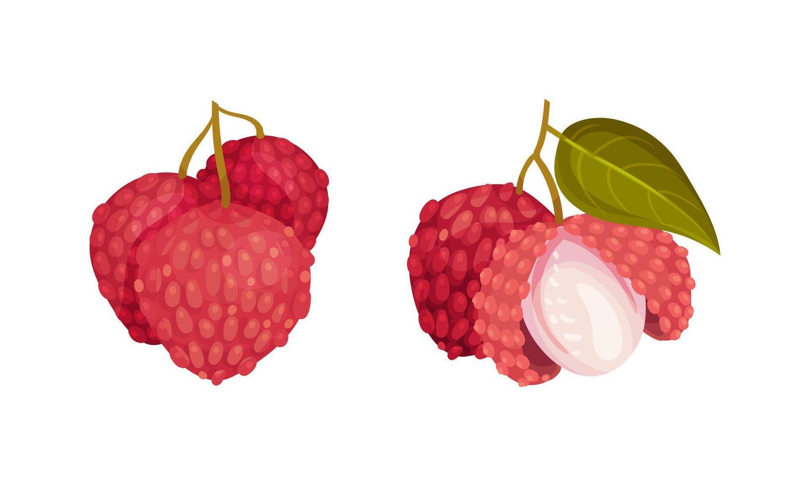 Ripe fresh exotic tropical fruits set illustration vector