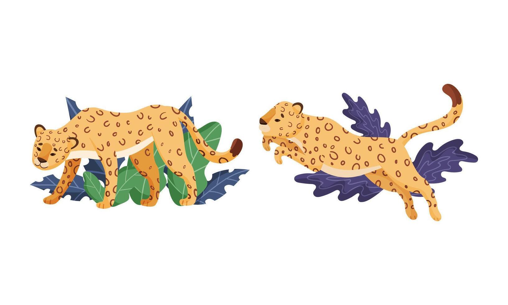 Spotted Leopard or Jaguar with Yellow Skin Standing and Jumping in Tropical Leaves Set vector