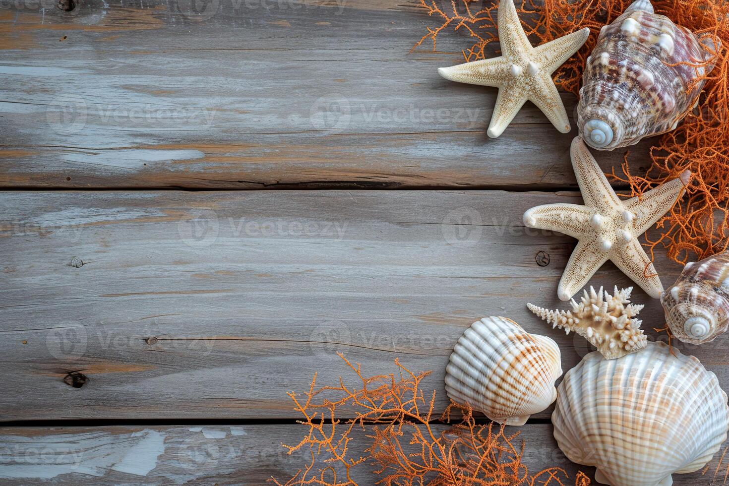 Seashells and starfish on wooden background photo