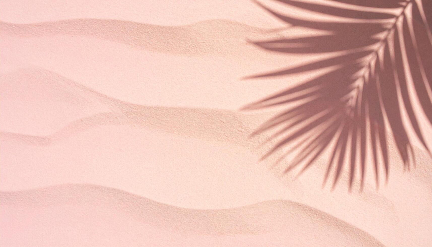 A palm shadow gently falling across a pink sandy beach, perfect as a relaxed holiday background photo
