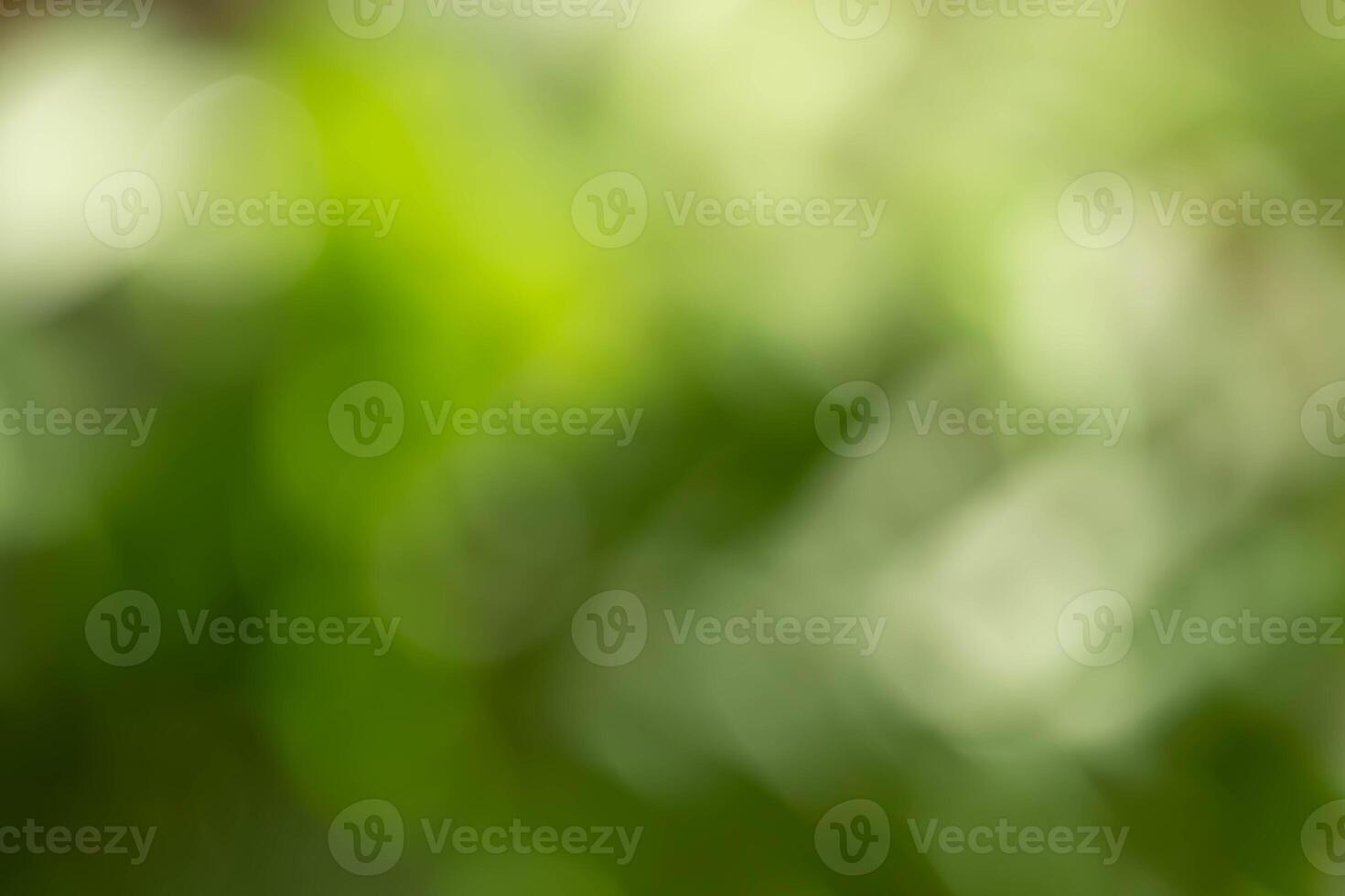 Abstract green blur background. May be use for presentations, creative marketing visuals. photo