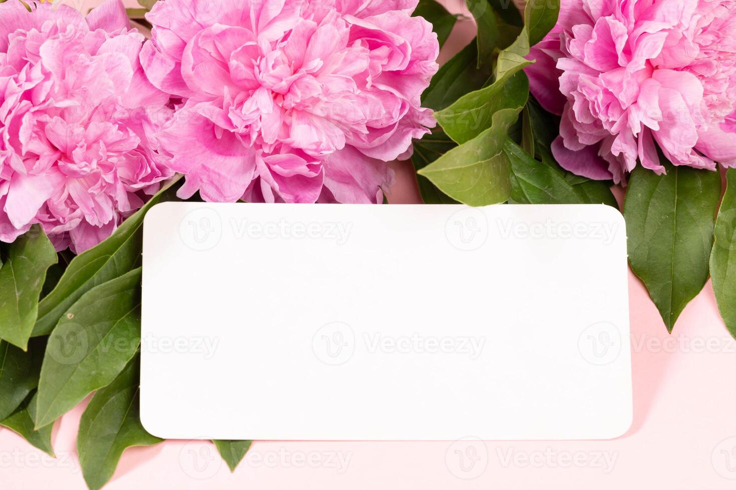 Blank white card on background of pink peonies and green leaves creates layout for spring promotions photo