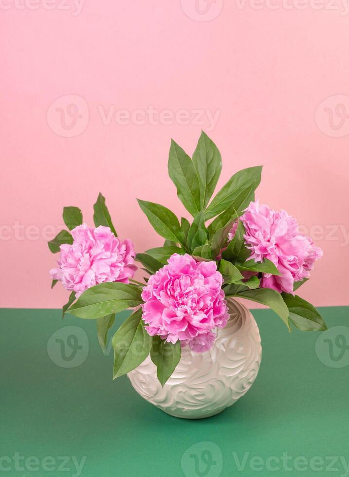 Pink peonies in extured vase against color blocked green and pink backdrop Vertical shot Copy space photo