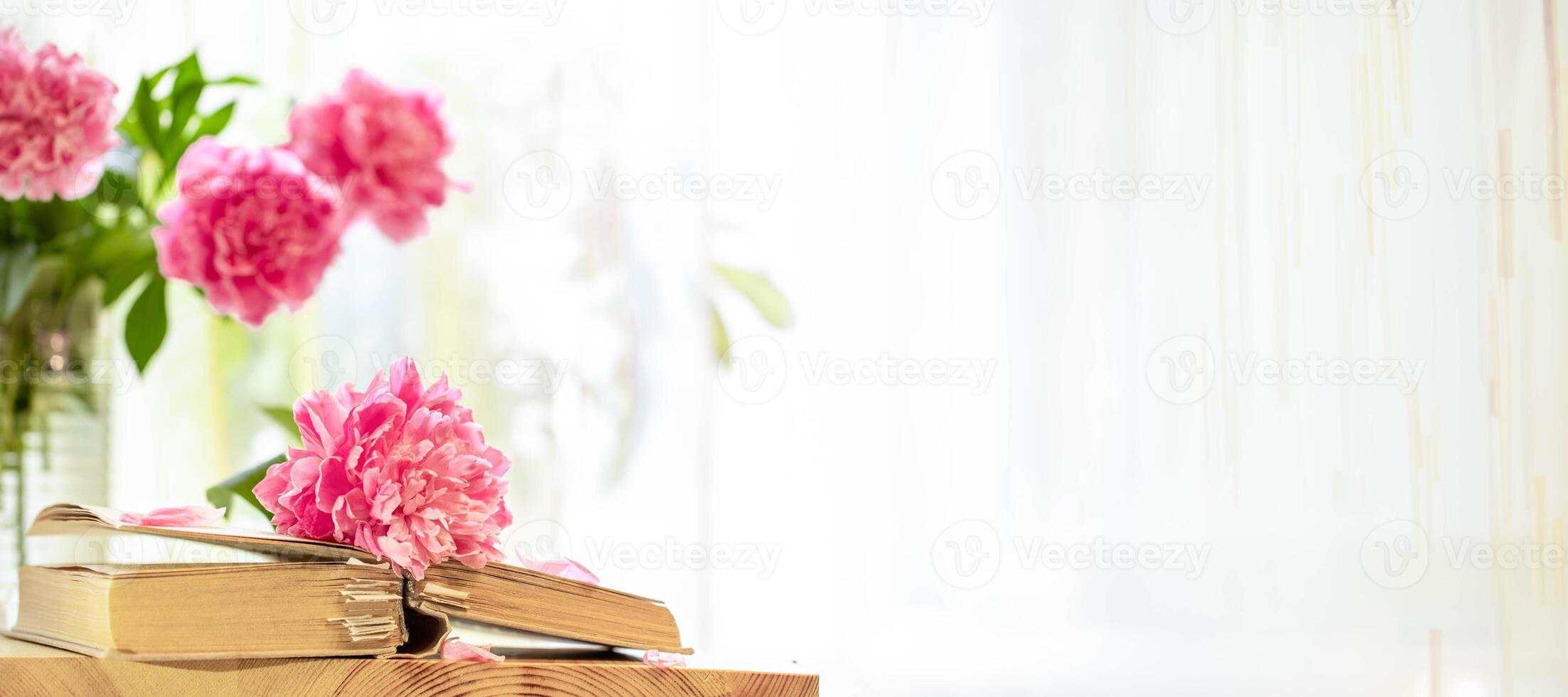 Elegant peonies on vintage book with empty space on right Banner,cards, literature blogs. photo