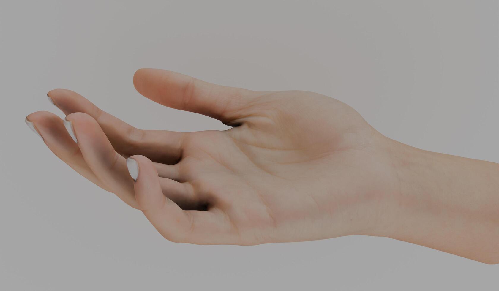 Hand, hand gesture, white background, 3D illustration photo