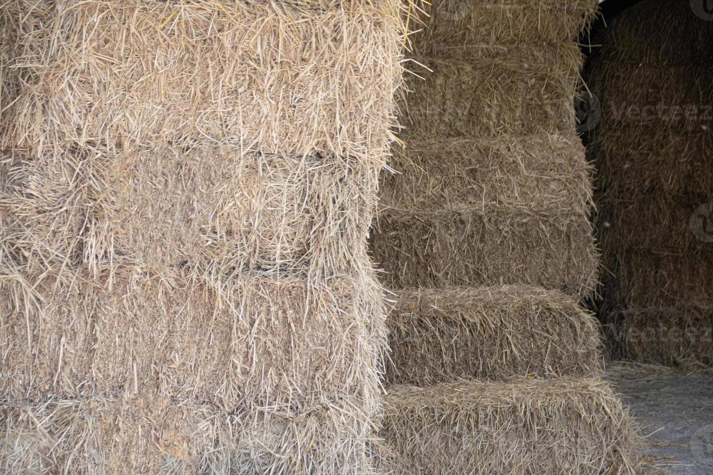 Stacks of hay stacked in a barn photo