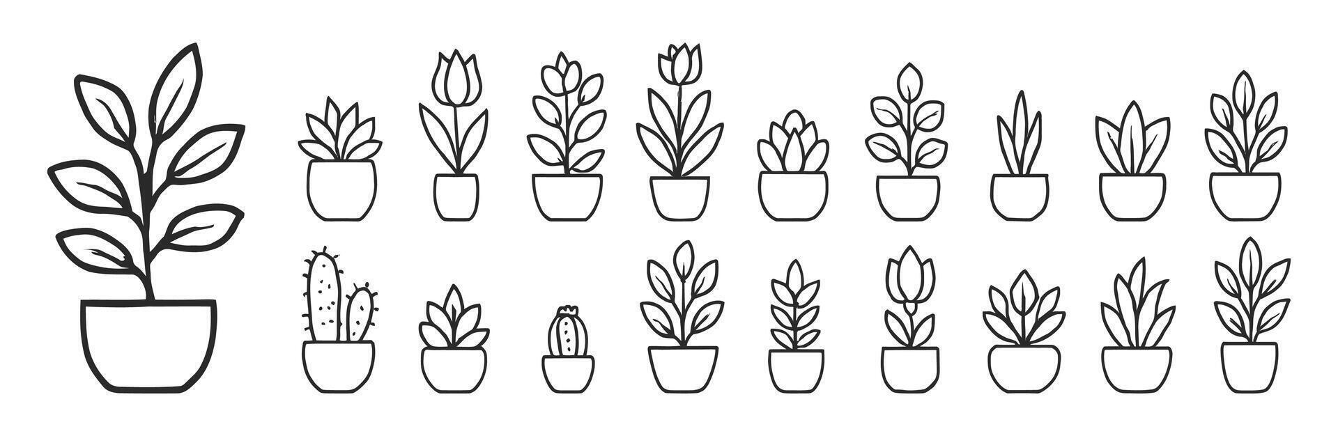 Hand Drawn Potted Plant and Cactus Icons Set vector