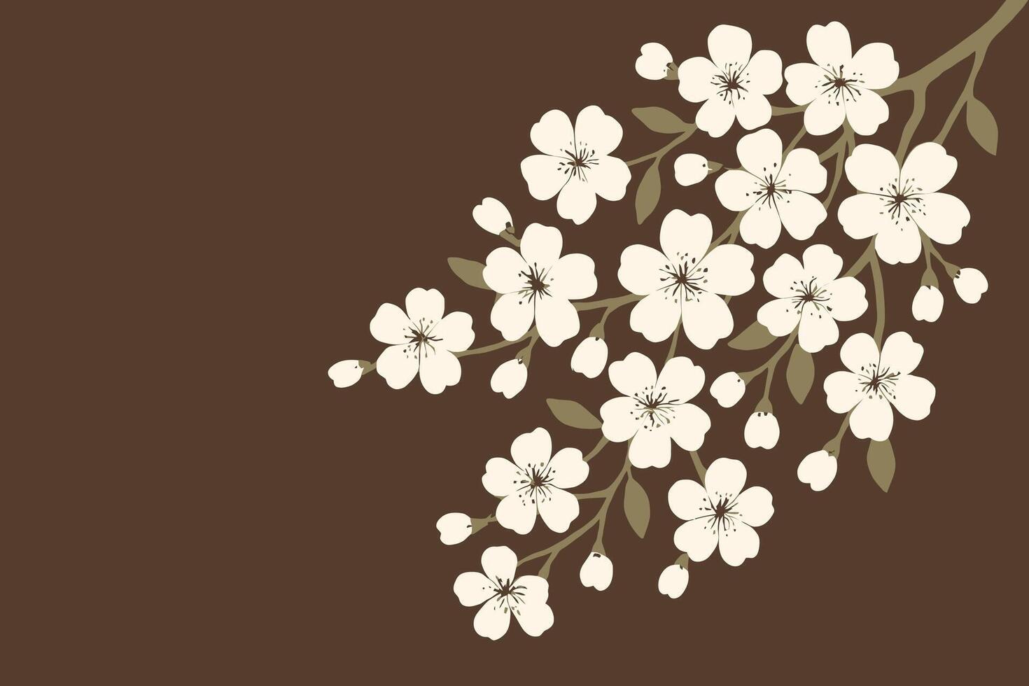 Elegant Sakura Cherry Blossom Branch with Cream Flowers on Dark Brown Background vector