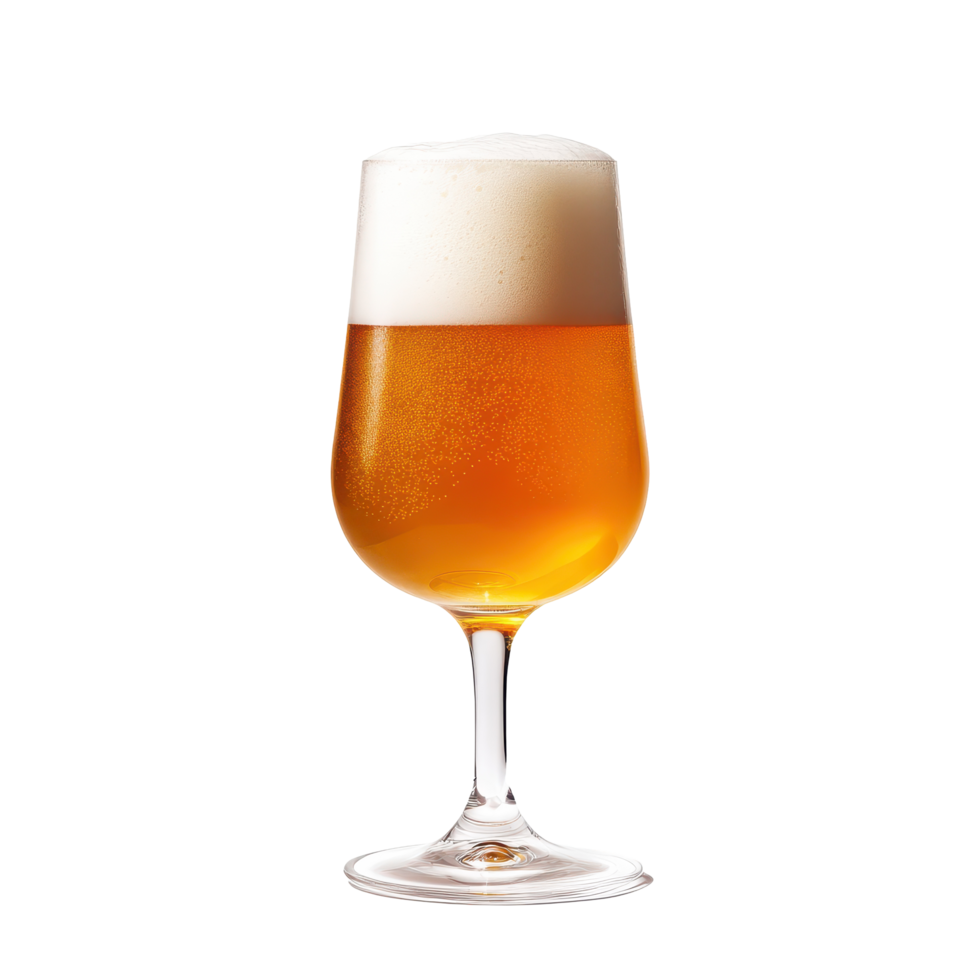 Refreshing golden beer served in a tall glass with a foamy head, perfect for a summer gathering png