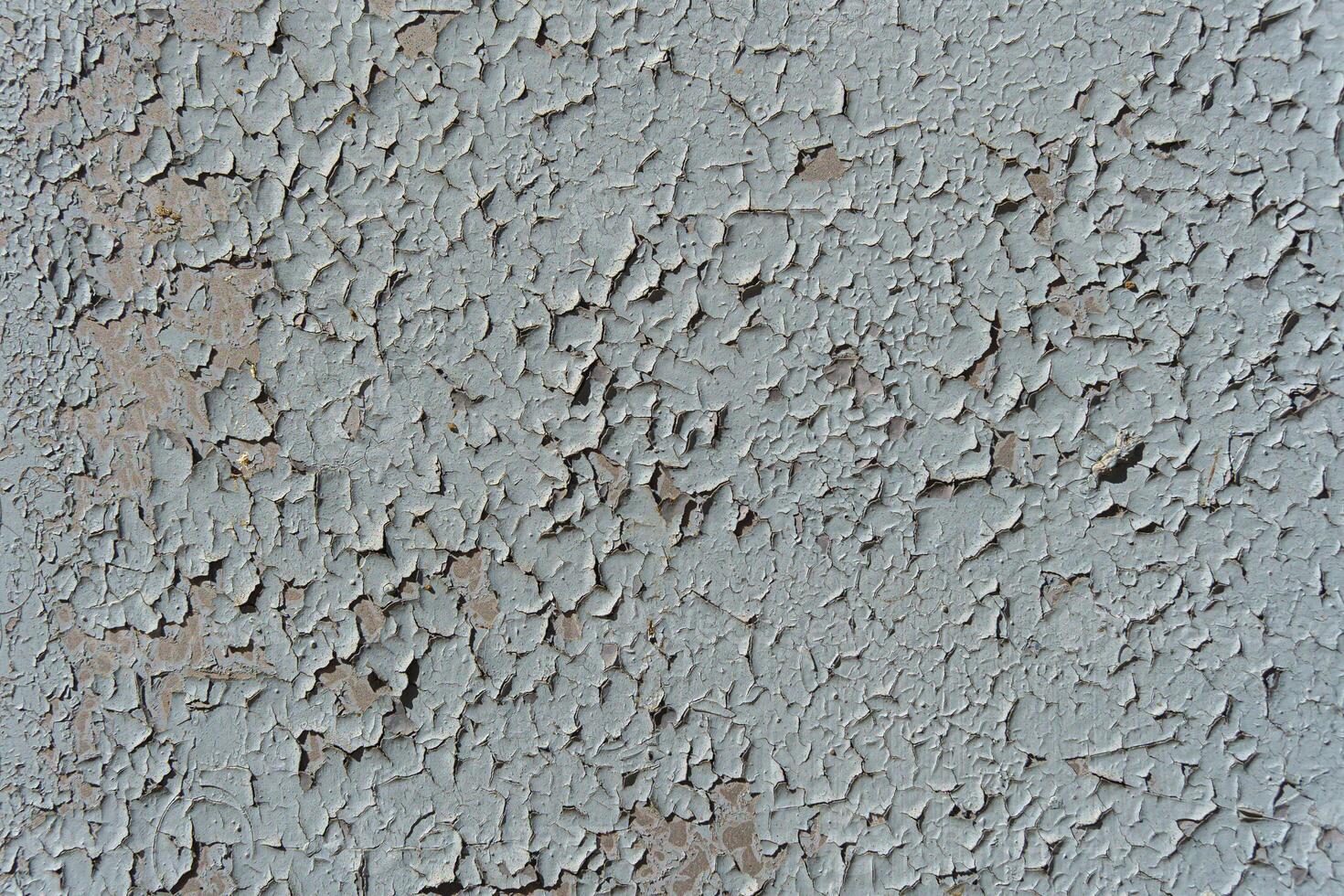 A wall with peeling paint. The paint is light blue and the wall is grey. photo