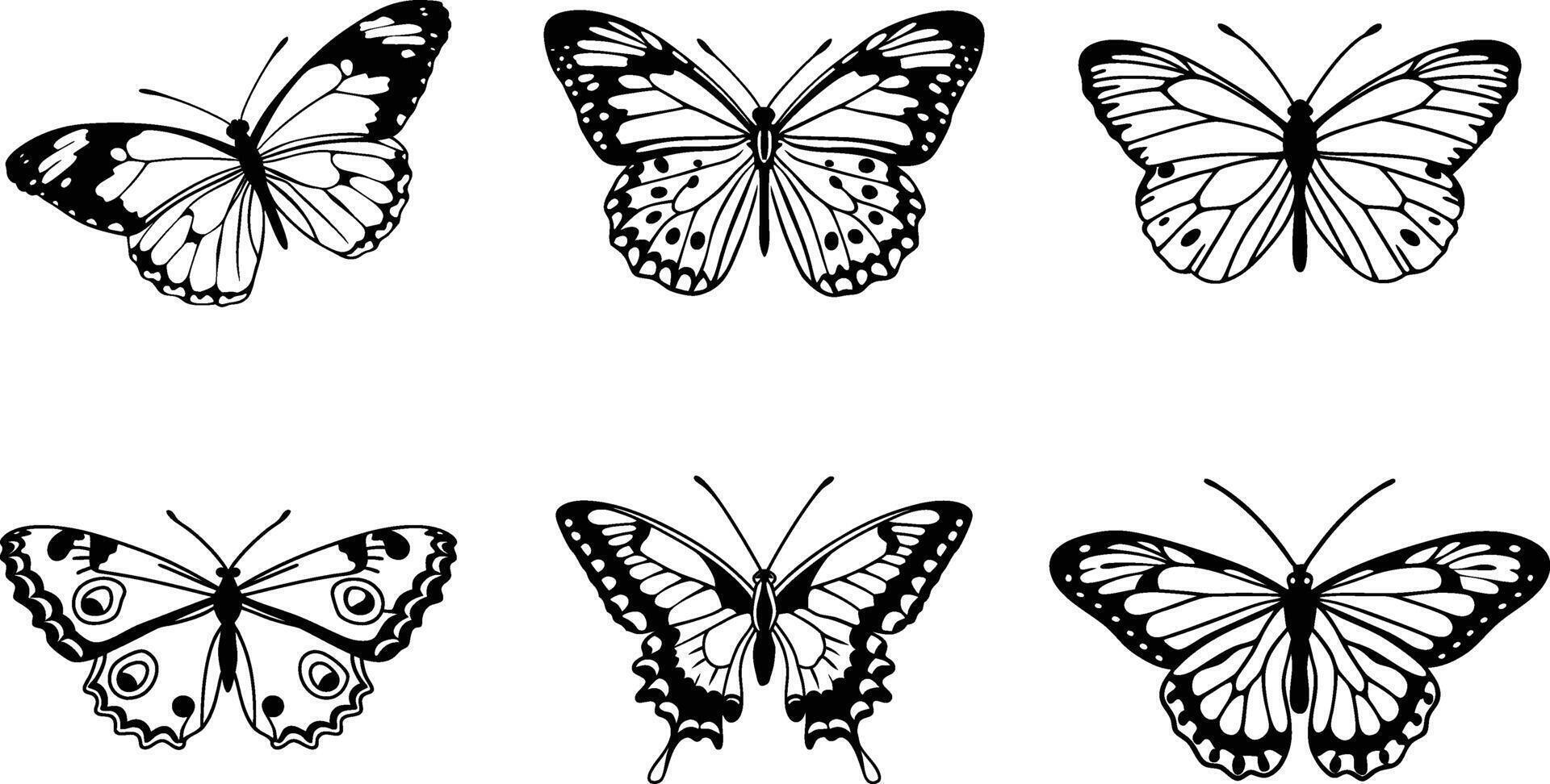 Six Black and White Butterfly Illustrations Set vector