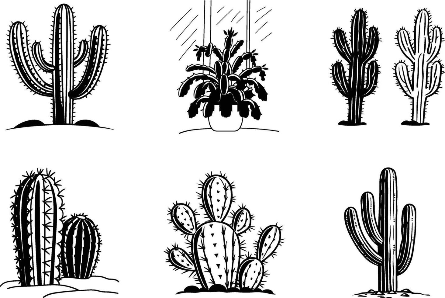 Collection of Six Black and White Cactus Illustrations vector