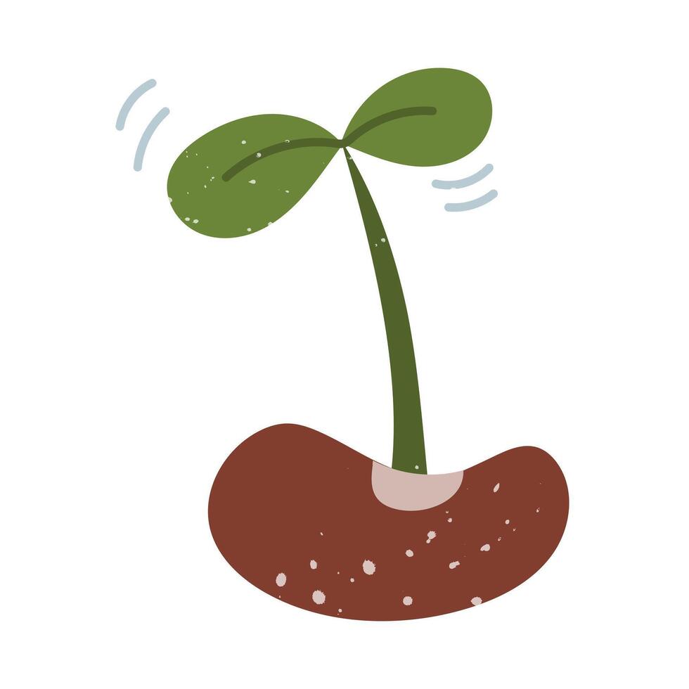Bean sprout. flat doodle with texture. It is suitable for seed packaging, blogs about cultivation, stickers, educational materials, eco-projects and garden products. Sprout for planting in the ground vector