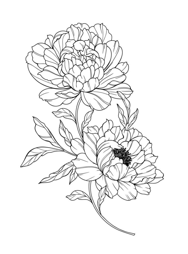Peony Line Art. Trendy floral bouquets and flowers. Botanical Line Drawing Peony Collection. Hand drawn line art peony flowers. Luxury Line Floral Art. Peony Outline vector