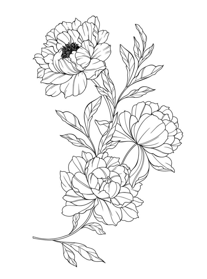 Peony Line Art Drawing. Trendy floral peony bouquets and flowers. Botanical Line Drawing Peony Collection. Hand drawn line art peony flowers. Luxury Line Floral Art. Peony Outline vector