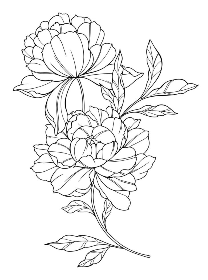 Peony Bouquet Line Art. Trendy floral peony bouquets and flowers. Botanical Line Drawing Peony Collection. Hand drawn line art peony flowers. Luxury Line Floral Art. Peony Outline vector
