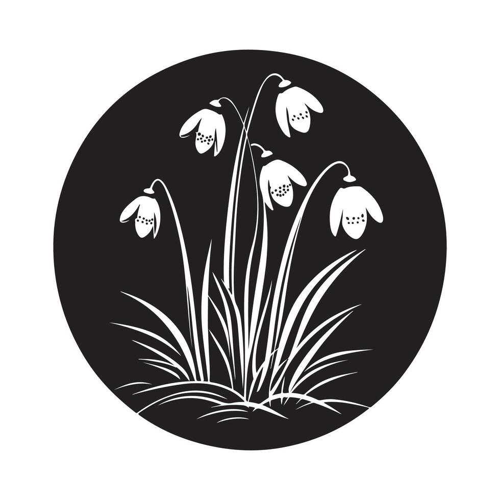 Black and white Snowdrop flower art Stock Images isolated on white background vector
