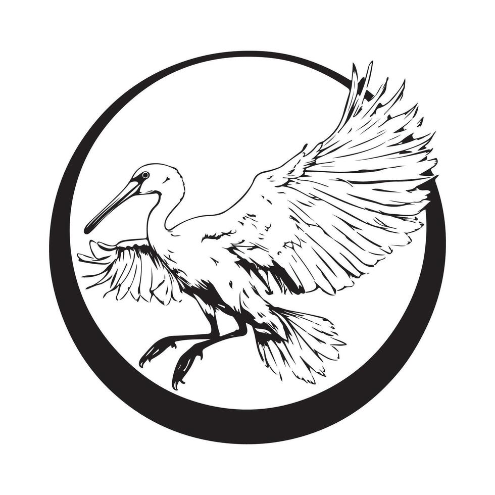 Black and white urasian Spoonbill Illustration Stock Image isolated on white background vector