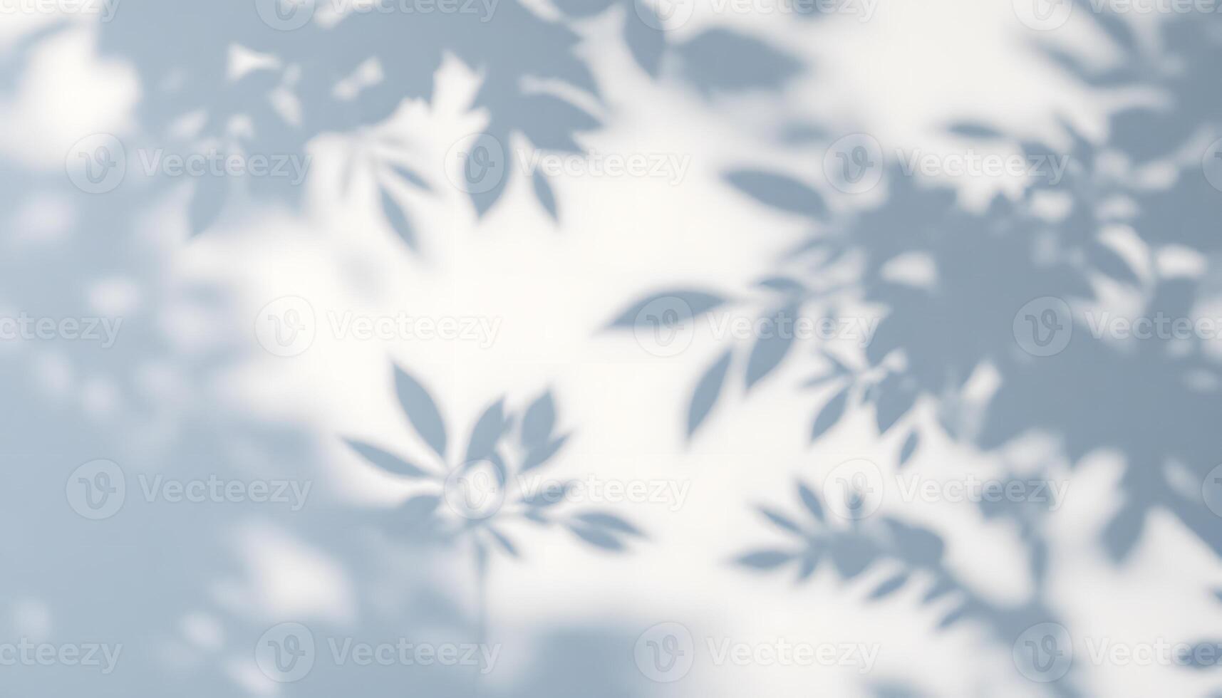 Serene Shadow Play A Gentle Dance of Light and Leaves photo