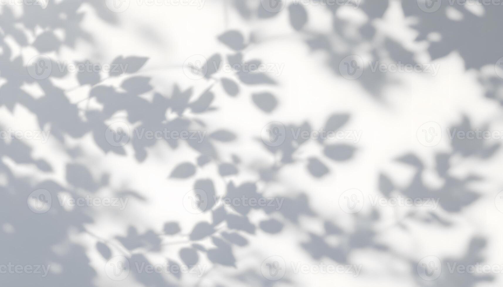 Serene Shadows An ethereal display of leaf shadows on a bright surface photo