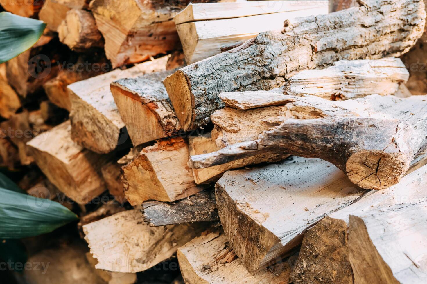 Firewood stacked neatly for outdoor use in a cozy setting during the day photo