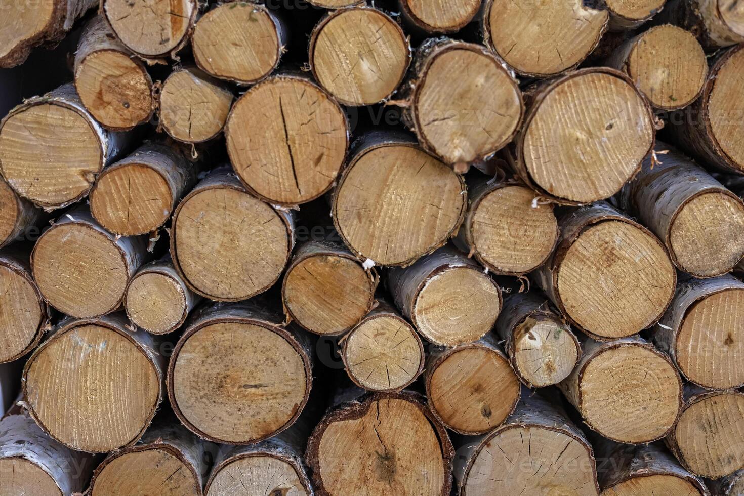 Wood logs neatly stacked for storage and future use in construction or woodworking projects photo