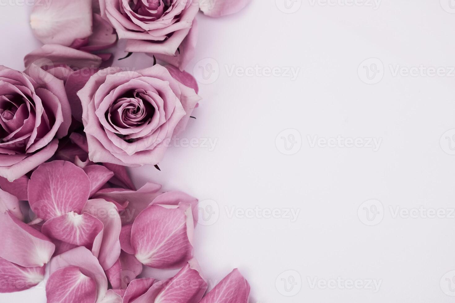 Delicate arrangement of pink roses and petals for a serene floral display photo