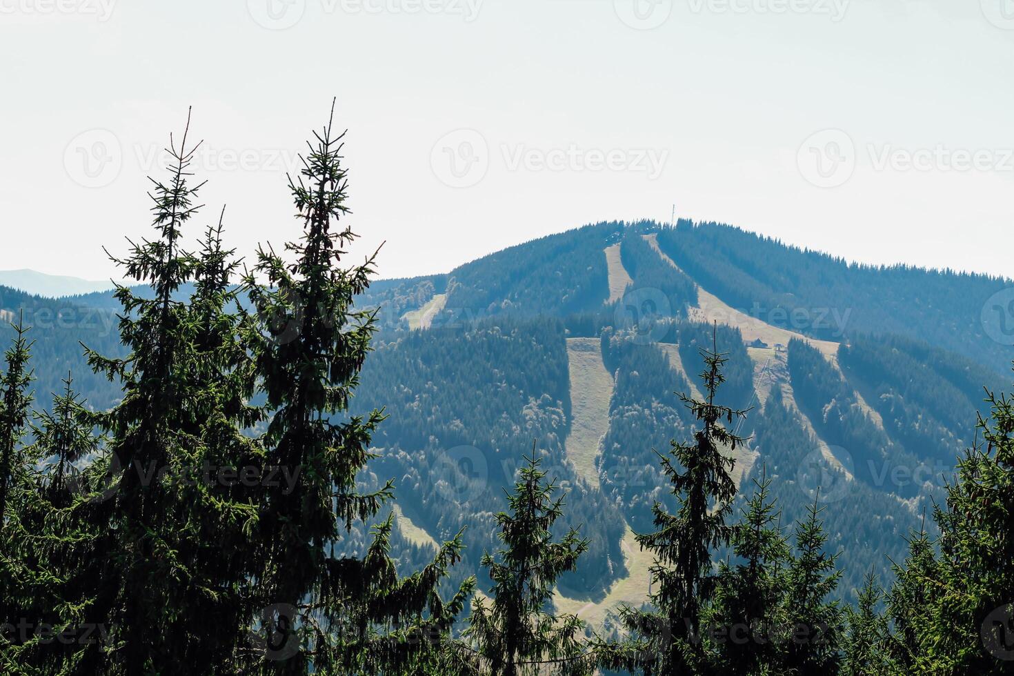Mountain landscape with ski slopes and pine trees in sunny weather photo