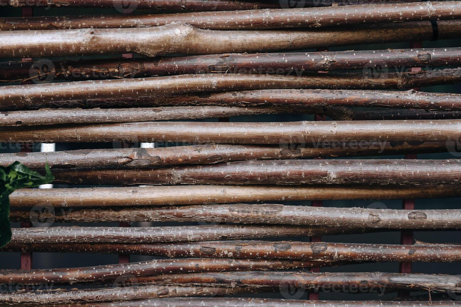 Wooden sticks arranged in a pattern on a surface in a natural setting during daytime photo