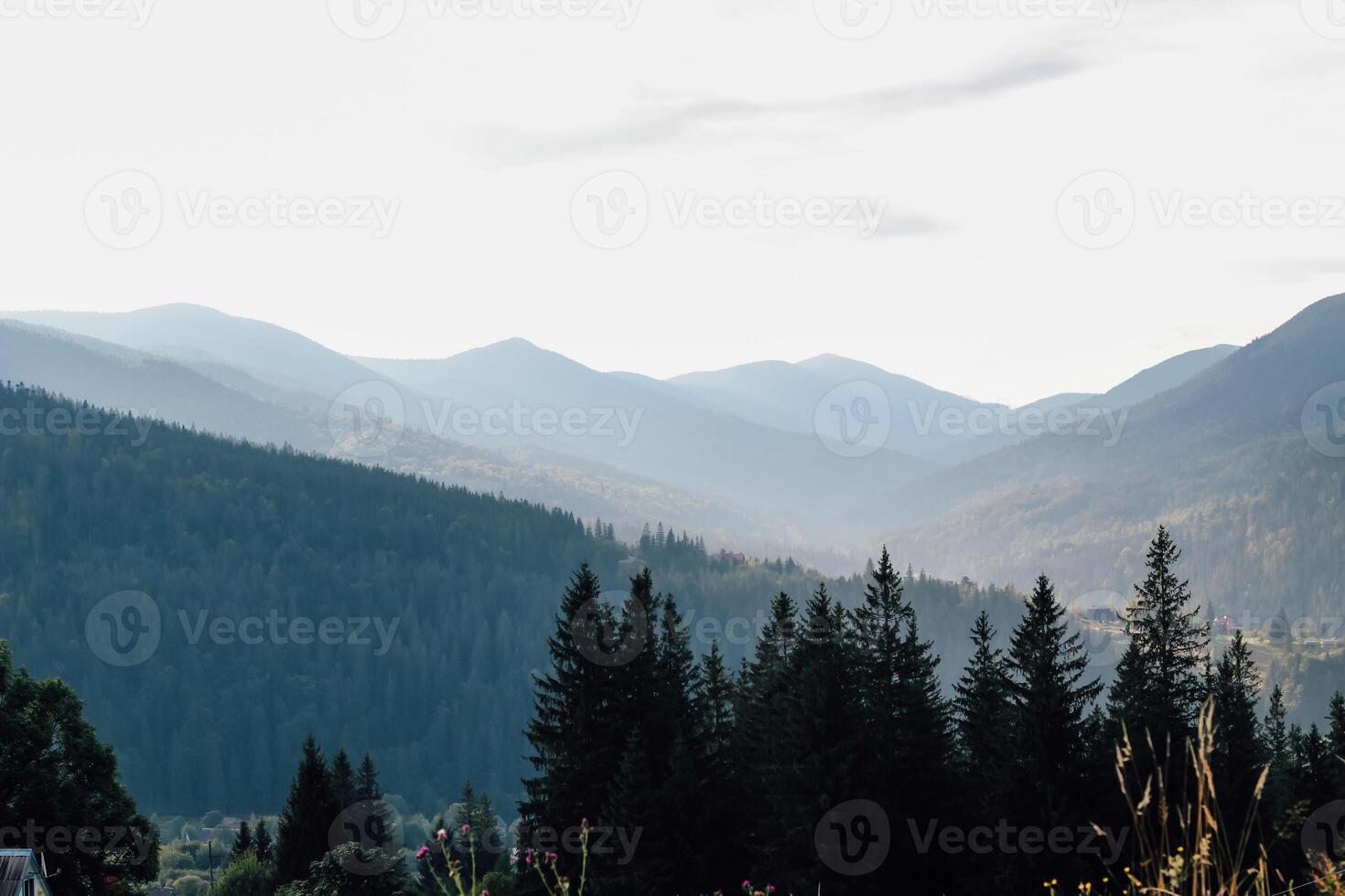Mountain landscape with trees and mist during early morning in serene environment photo