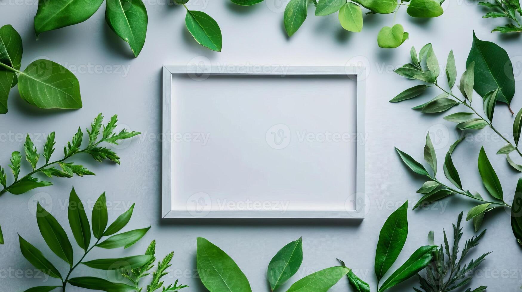 White Frame Surrounded by Green Leaves Nature Minimalism Photography photo