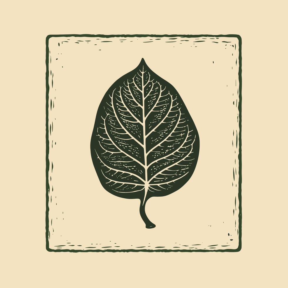 A leaf is shown in a square frame vector