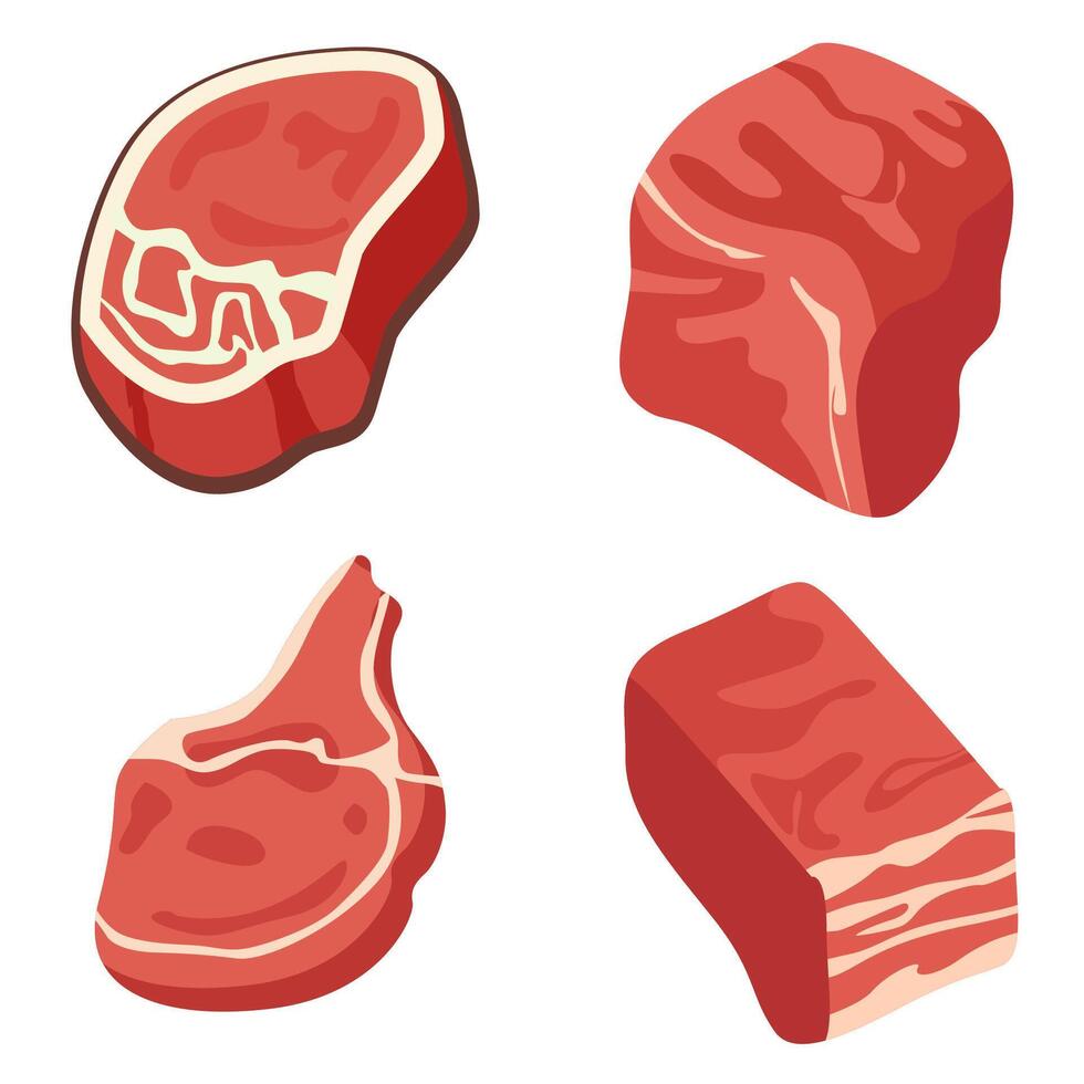 Assorted Pork Cuts for Culinary and Butchery Use vector