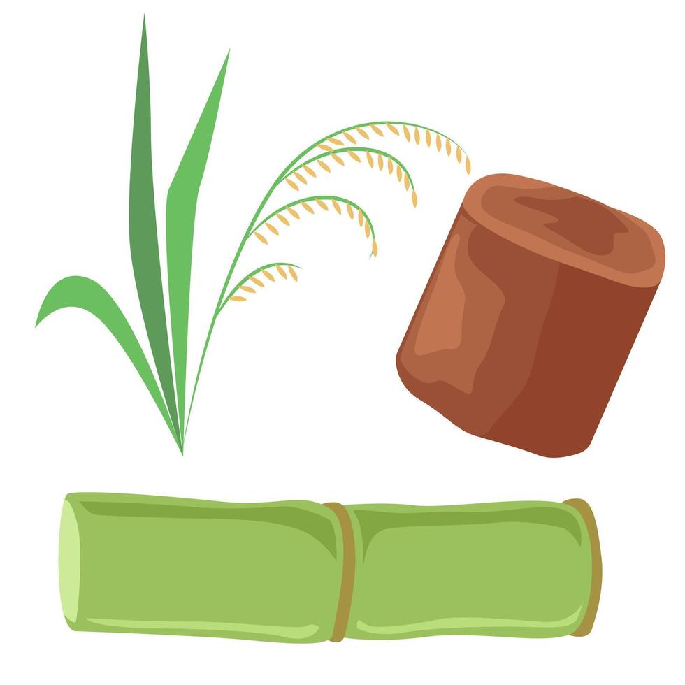 Sugarcane and Palm Sugar as Natural Sweeteners from the Tropics vector