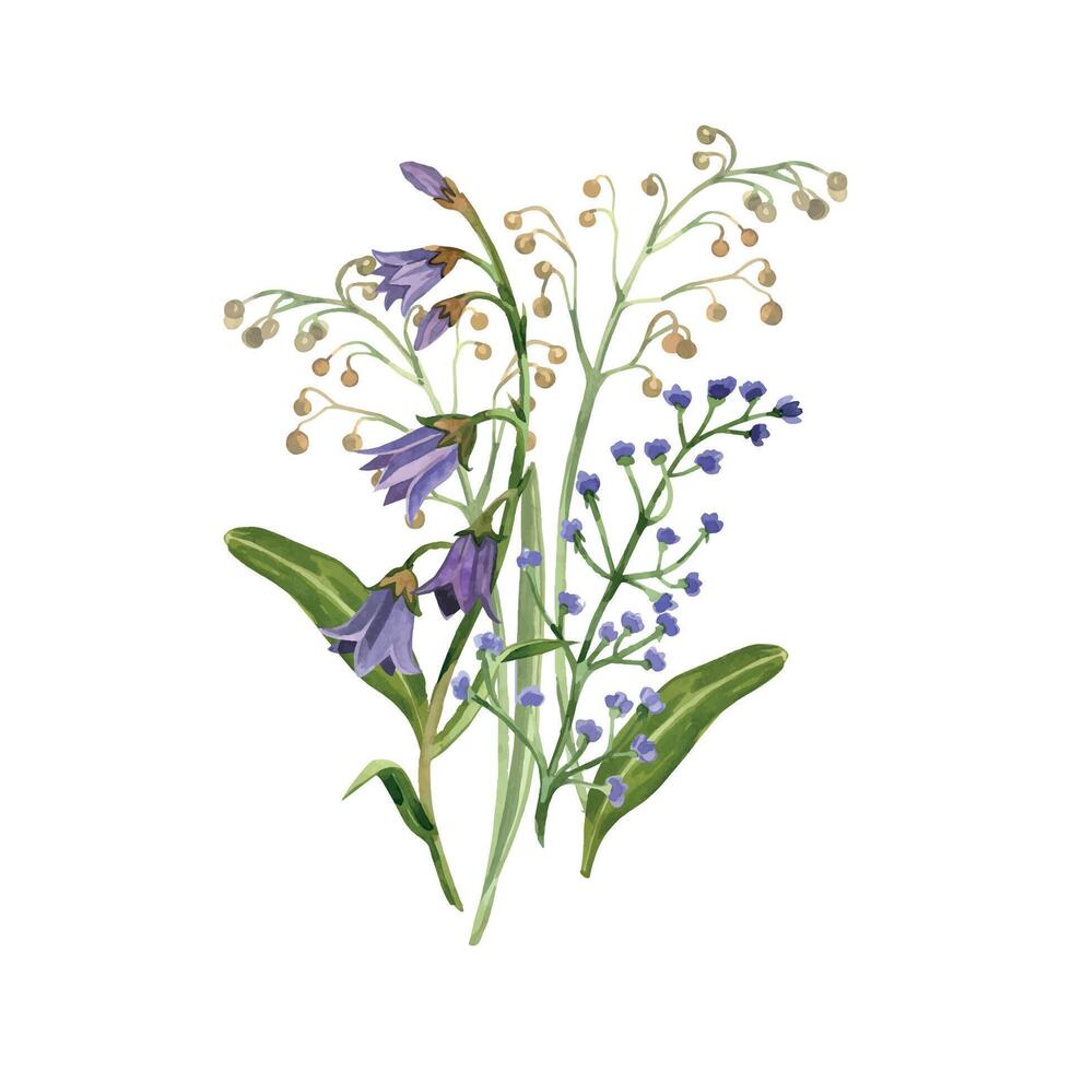 Purple bells, wild grasses and flowers buttercups, timothy, all objects are hand painted with watercolor. Watercolor illustration. Suitable for printing on fabric, paper, cards and invitations vector