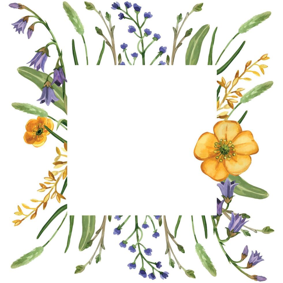 Square frame of meadow flowers and herbs, yellow buttercups, bellflowers, timothy grass, green leaves and herbs. All objects are hand-painted with watercolors. Suitable for postcards, invitations vector