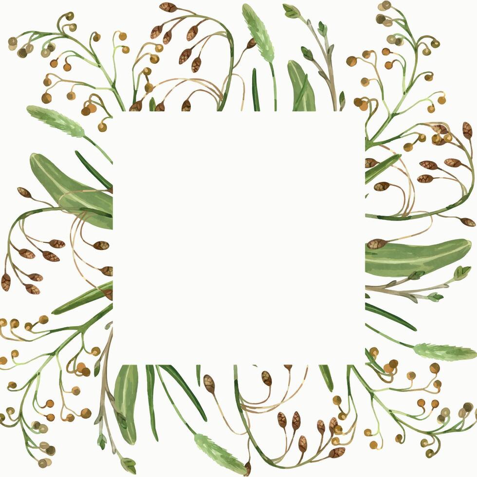Square frame of meadow grasses and flowers, plants, cereals, timothy grass, green leaves, all objects are hand painted with watercolors. Suitable for printing on fabric, paper, cards, invitations vector