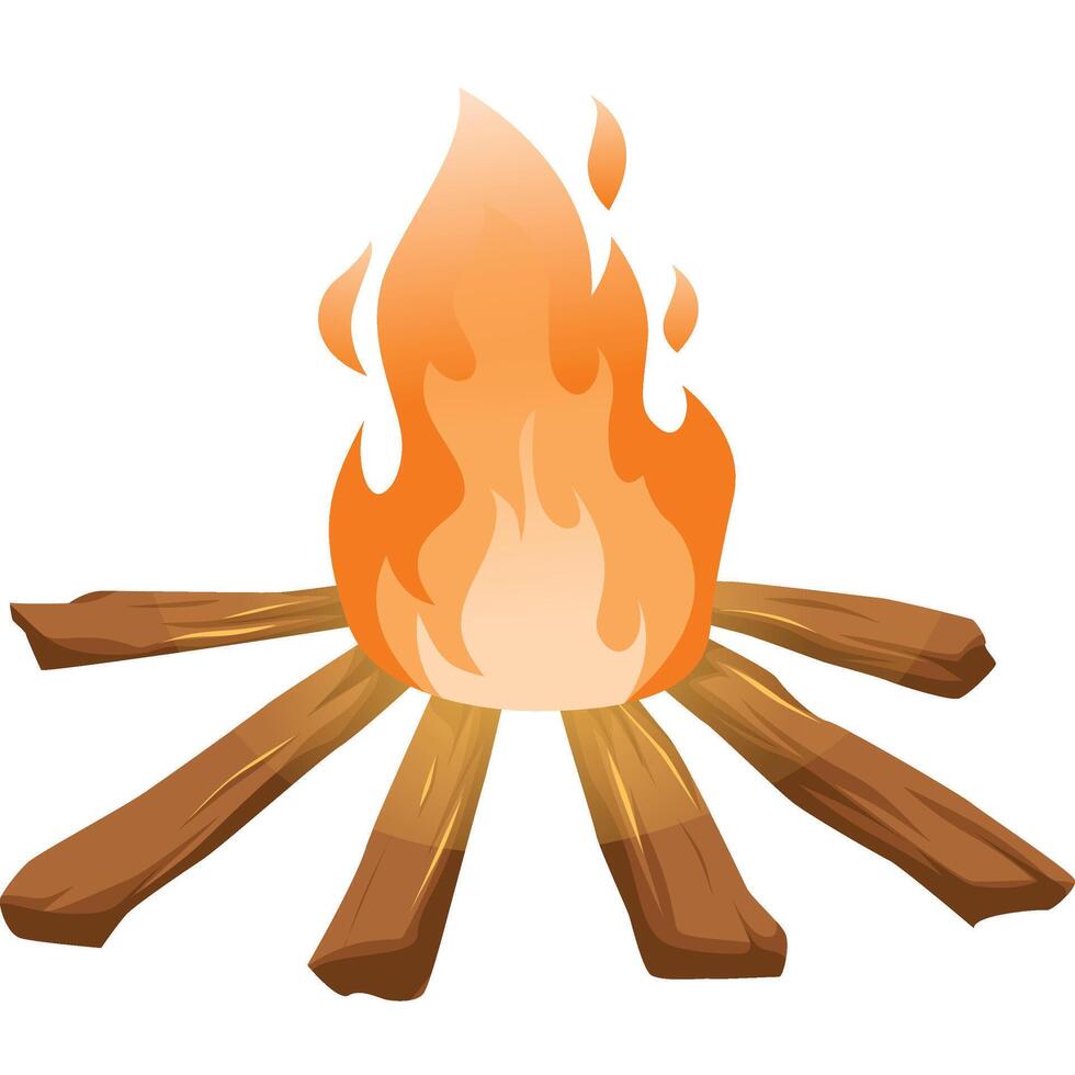 A campfire with logs on a white background vector