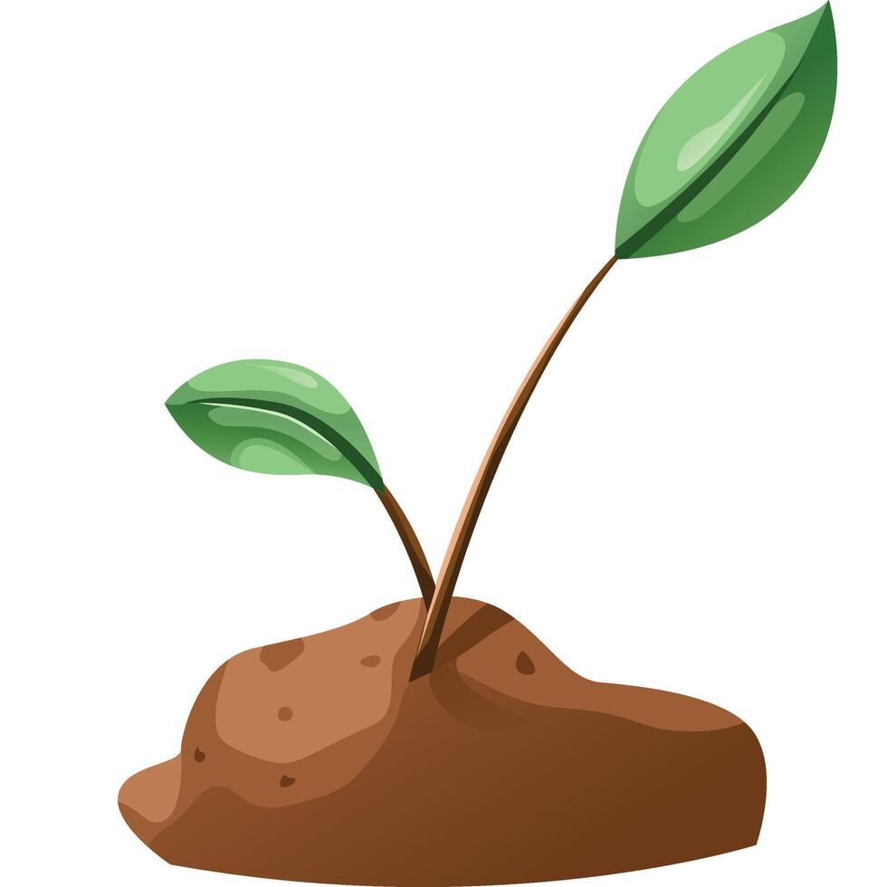 A cartoon plant sprouting from the ground vector