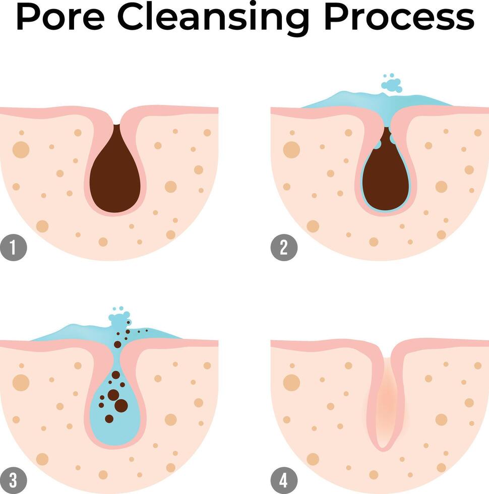 Pore Cleansing Process A Step-by-Step Guide to Clear Skin Design Illustration vector