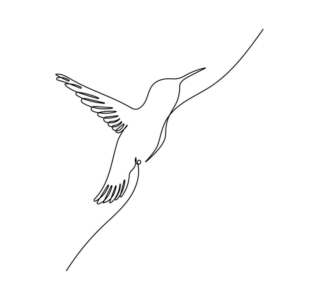 Hummingbird in continuous line art drawing style. Animal minimalist black linear sketch isolated on white background. vector