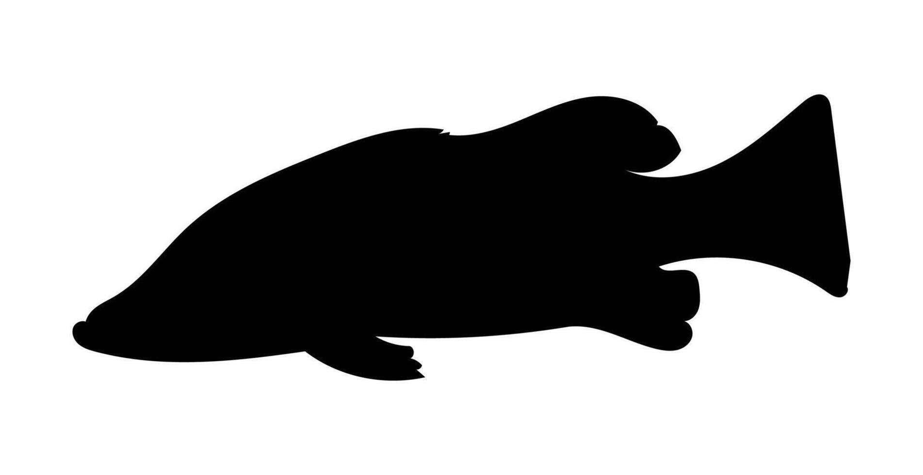 Silhouette seabass fish barramundi fish isolated on white background, illustration vector