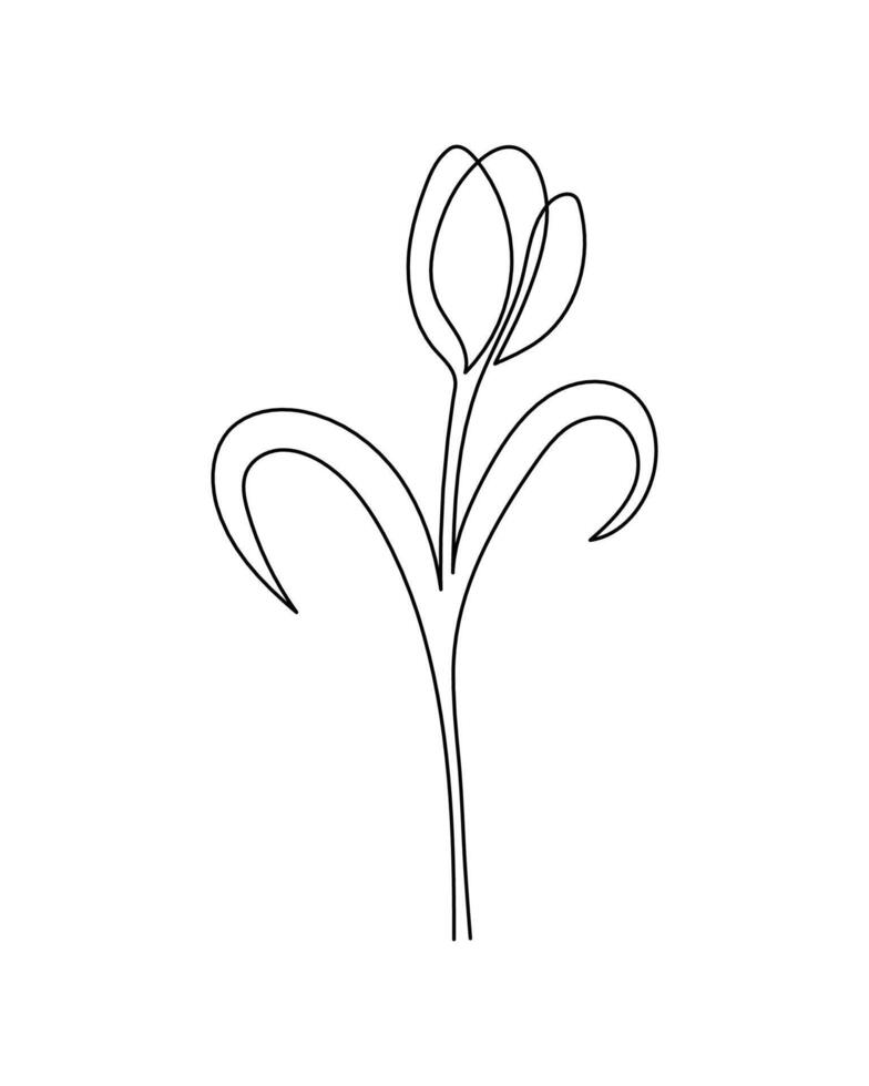 Tulip flower in continuous line art drawing style. Minimalist black linear sketch isolated on white background. vector