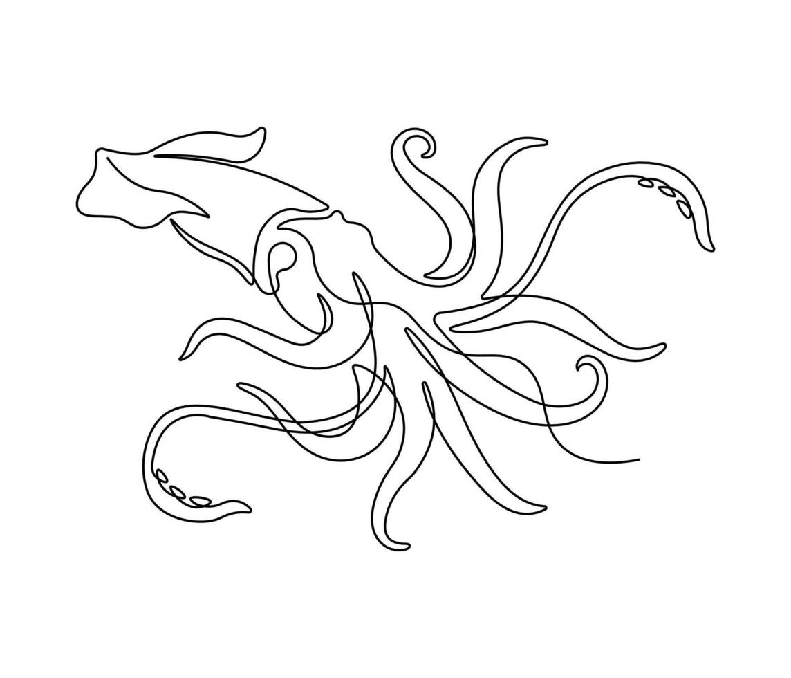 Squid in continuous line art drawing style. Animal minimalist black linear sketch isolated on white background. vector
