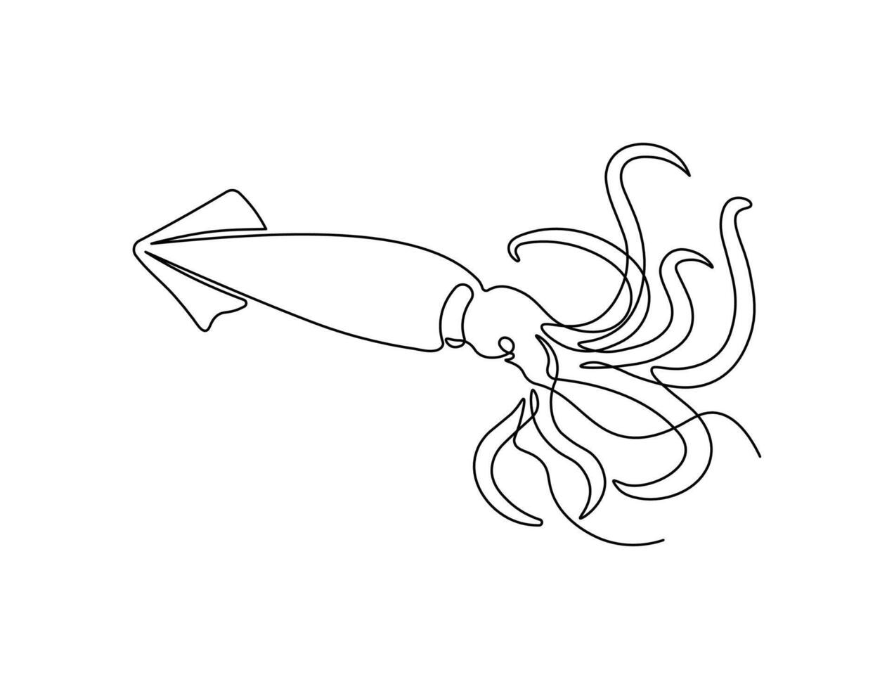 Squid in continuous line art drawing style. Animal minimalist in black linear sketch isolated on white background. vector