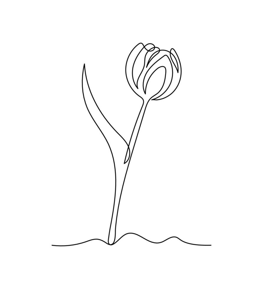 Tulip flower in continuous line art drawing style. Minimalist black linear sketch isolated on white background vector