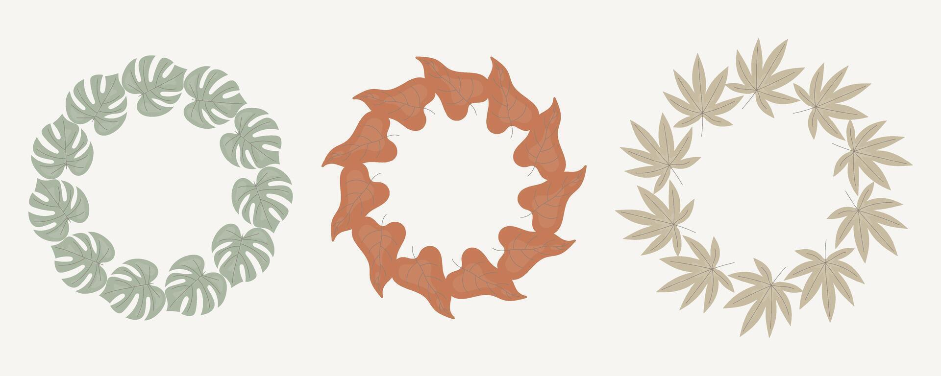 Set of three botanical wreaths made of tropical leaves in flat minimal style. Circular natural frames with monstera, maple and heart-shaped foliage for eco design, wedding, and invitations. vector