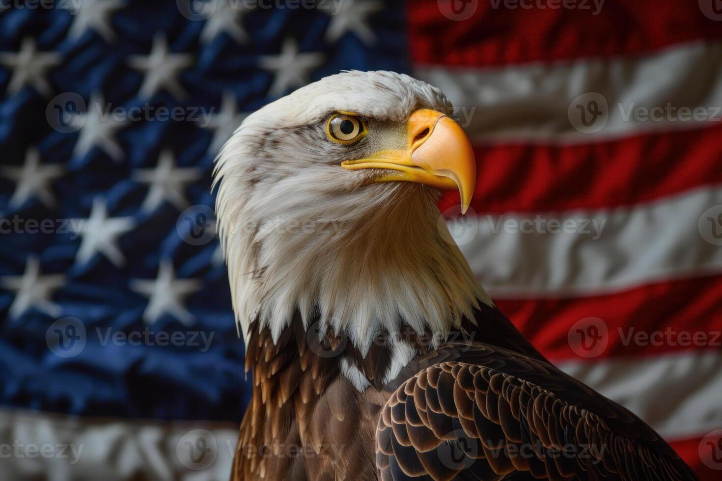 Majestic bald eagle posing with american flag photo