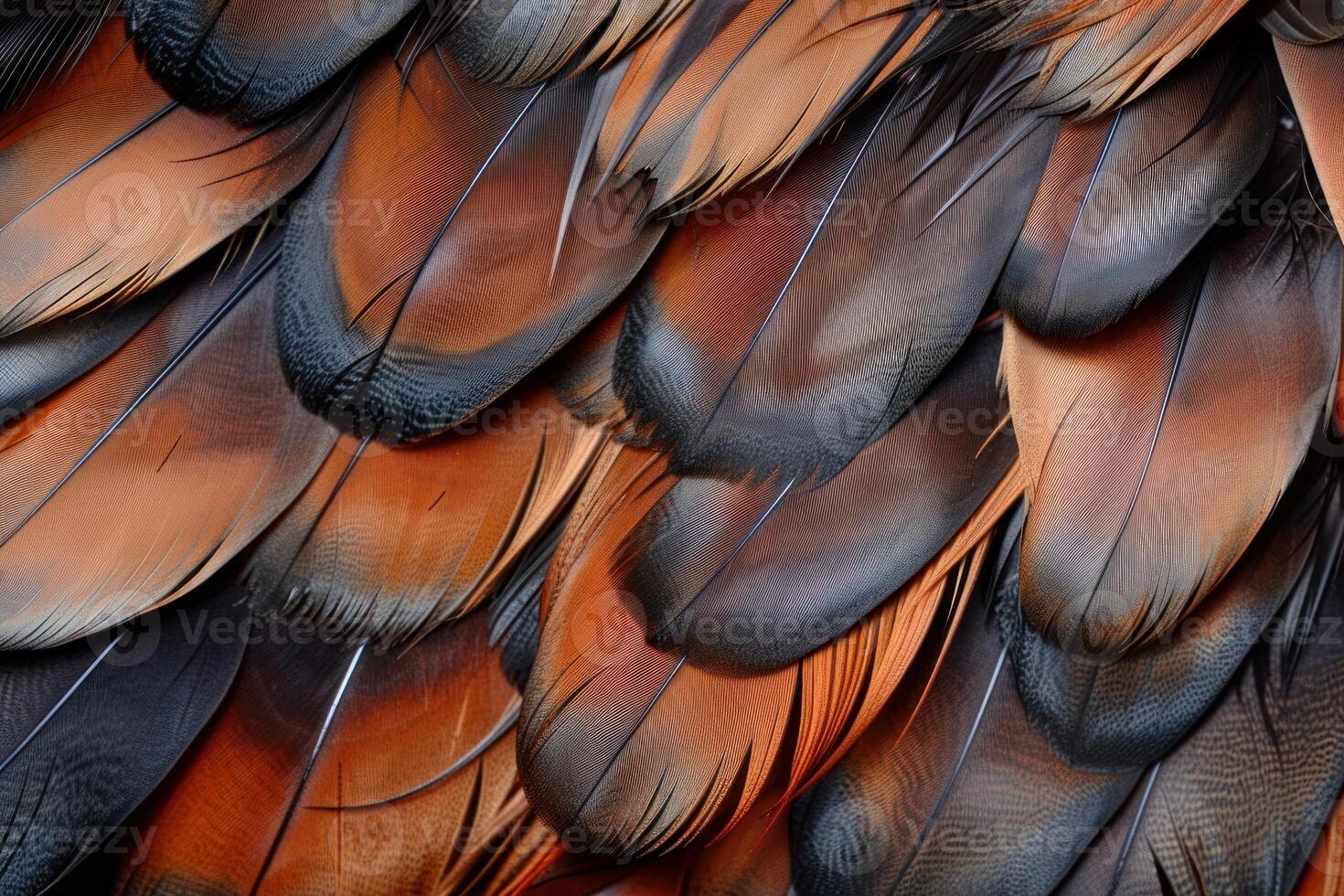 Macro close up of brown and black bird feathers creating a soft textured background photo